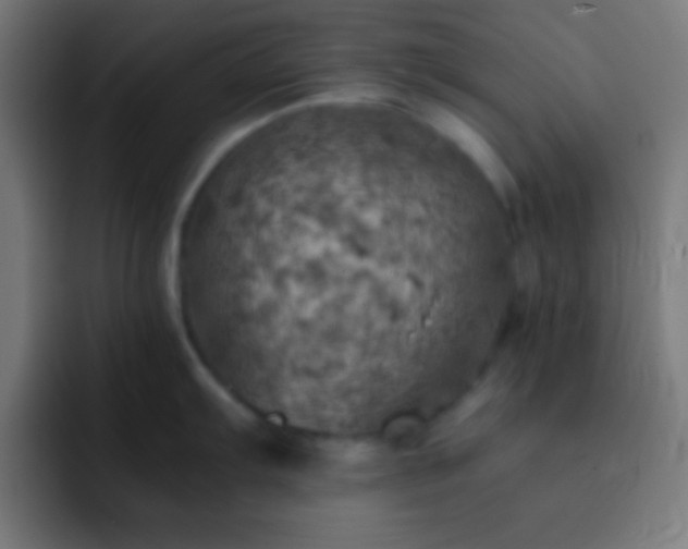 X0000093101103200710031825