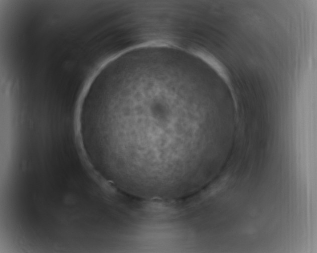 X0000093101104200710031825