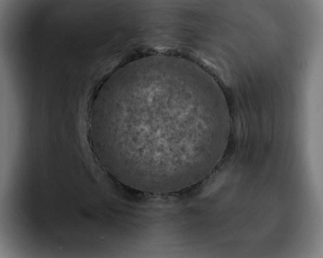 X0000093101105200710031825