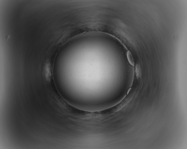 X0000093101107200710031825