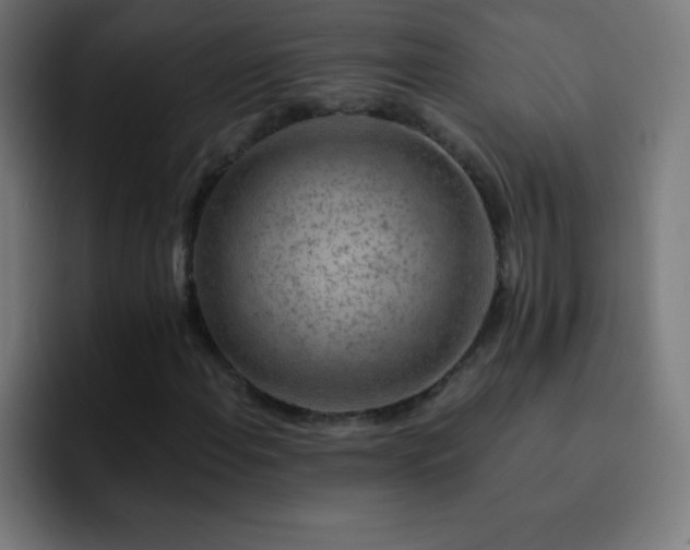 X0000093101108200710031825