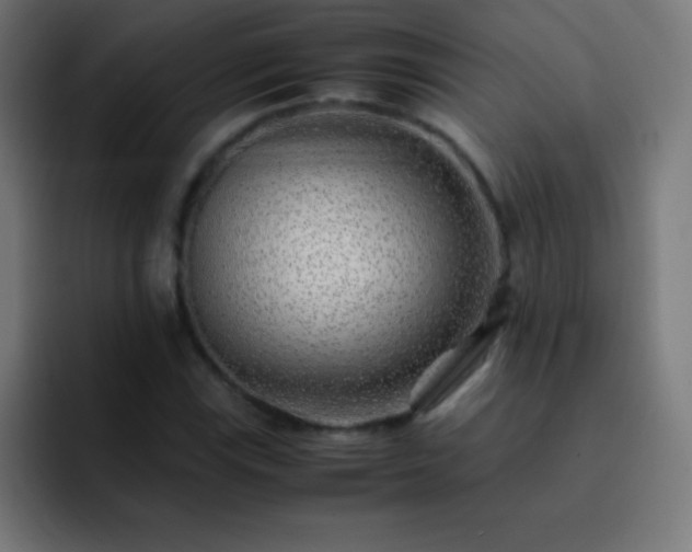 X0000093101115200710031825