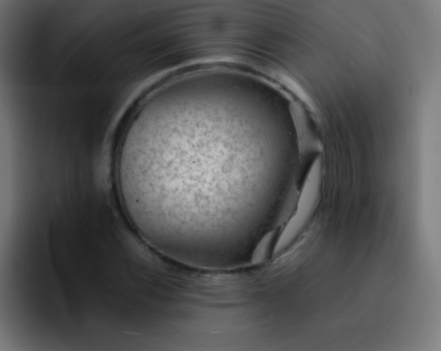 X0000093101116200710031825