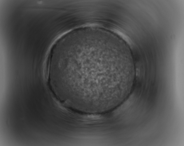 X0000093101117200710031825