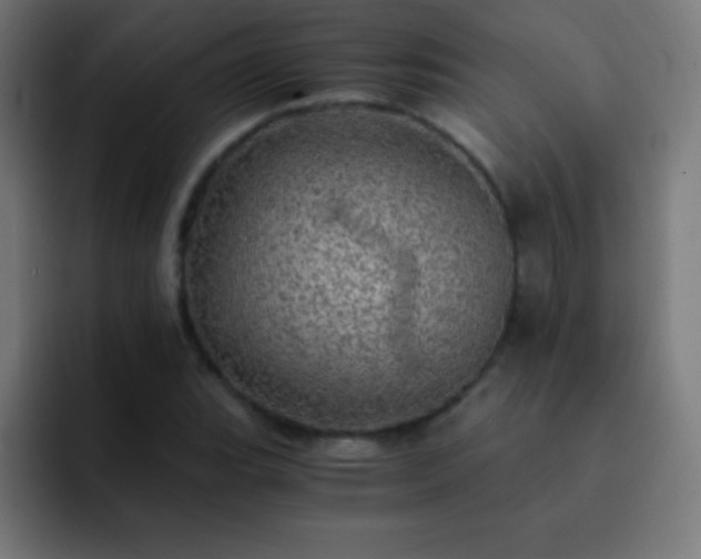 X0000093101119200710031825
