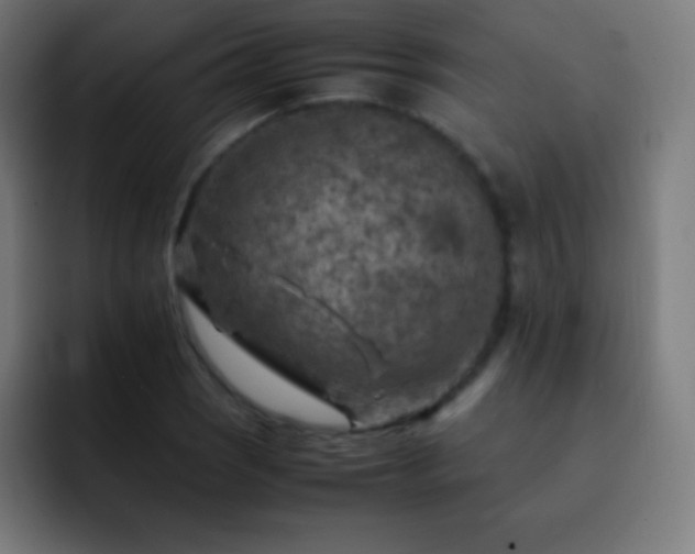 X0000093101121200710031825