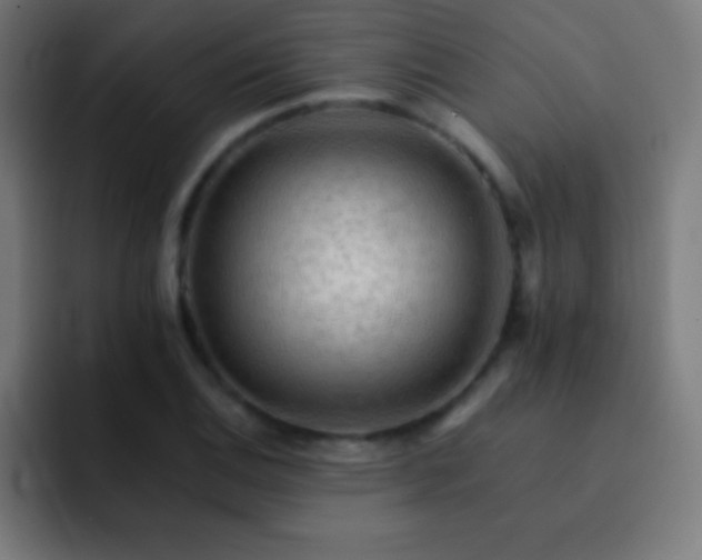 X0000093101124200710031825