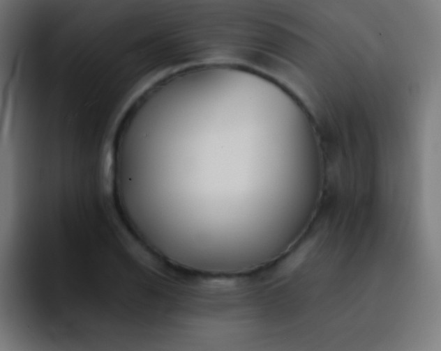 X0000093101126200710031825