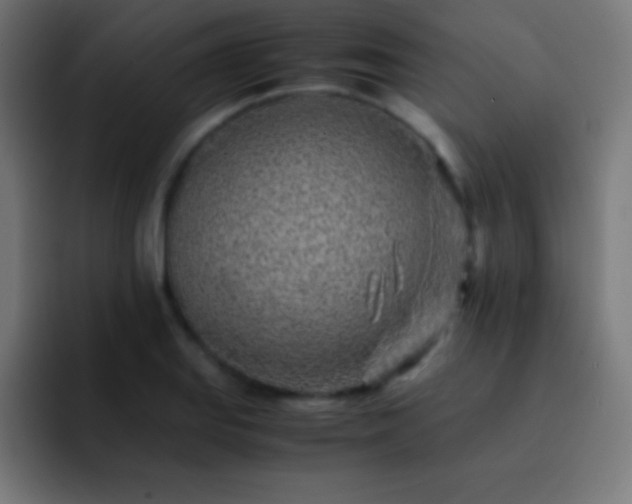 X0000093101127200710031825