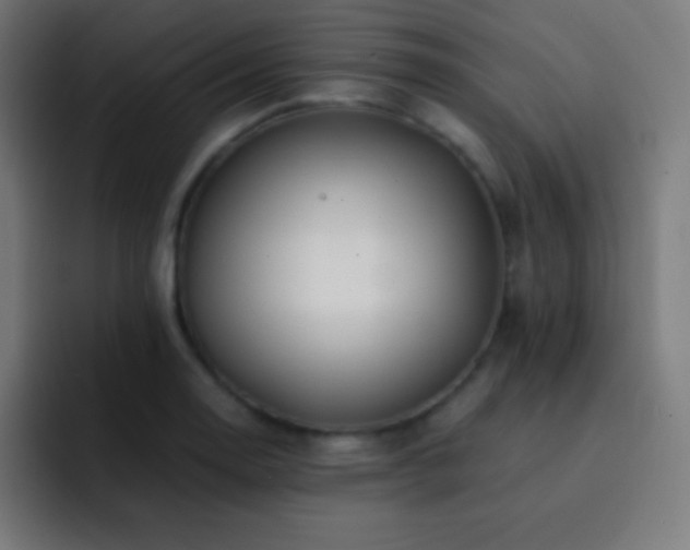 X0000093101130200710031825