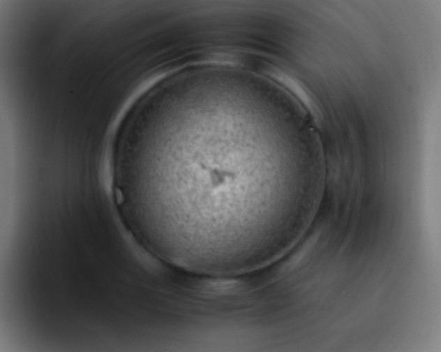 X0000093101131200710031825