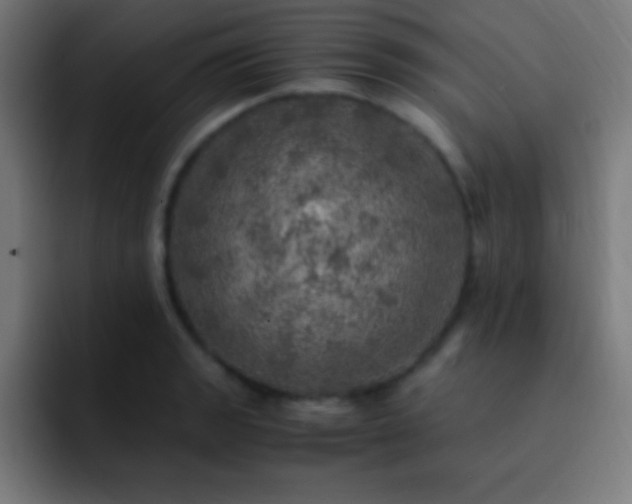 X0000093101133200710031825