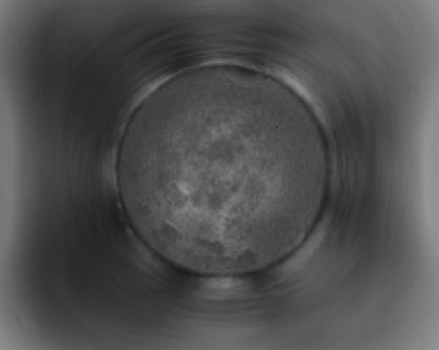 X0000093101137200710031825