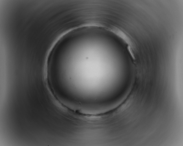 X0000093101140200710031825