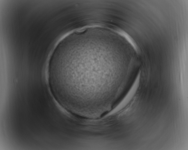 X0000093101143200710031825