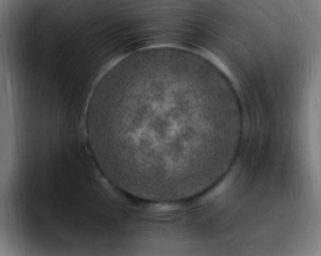 X0000093101145200710031825
