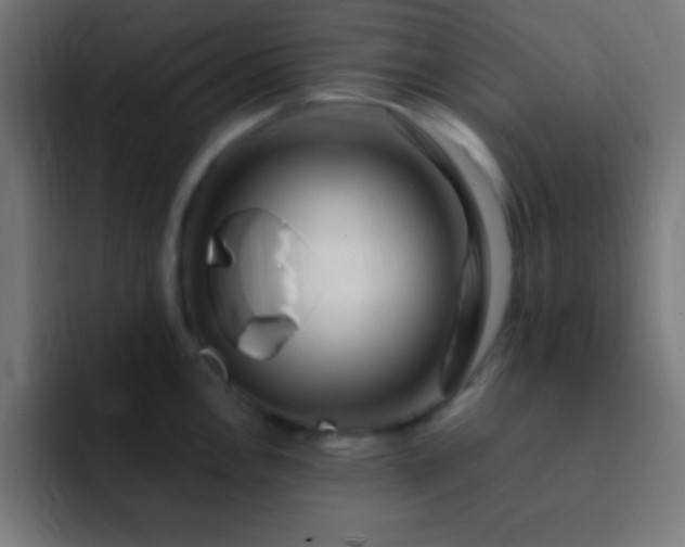 X0000093101146200710031825