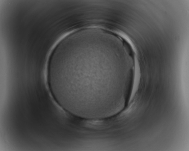 X0000093101147200710031825