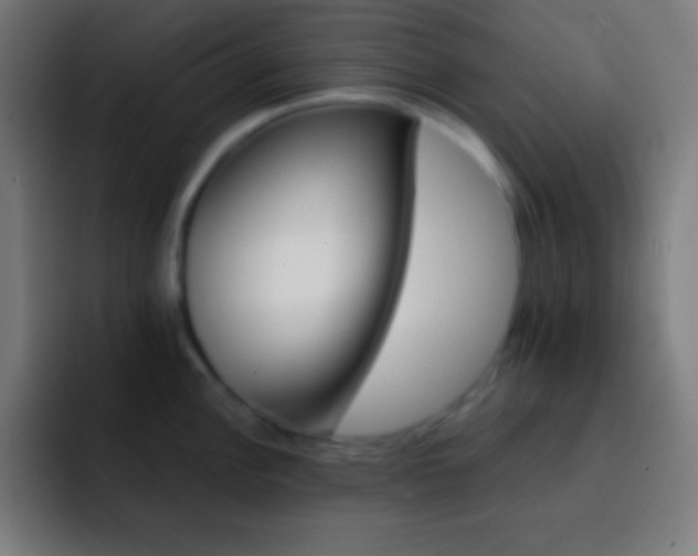 X0000093101148200710031825