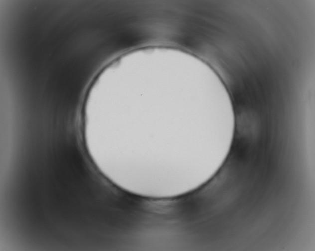 X0000093101150200710031825