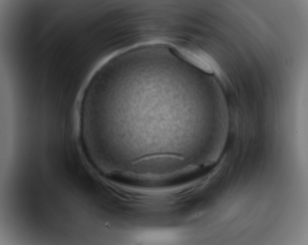 X0000093101151200710031825