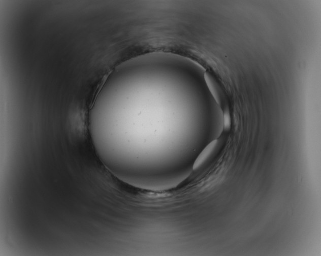 X0000093101156200710031825