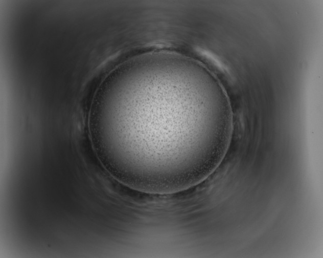 X0000093101158200710031825