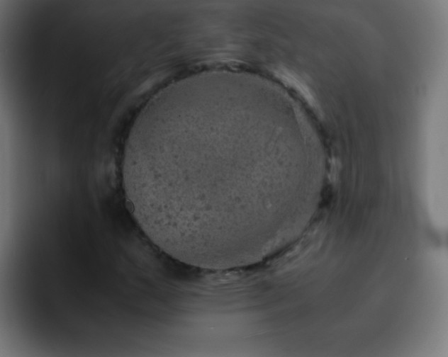 X0000093101159200710031825