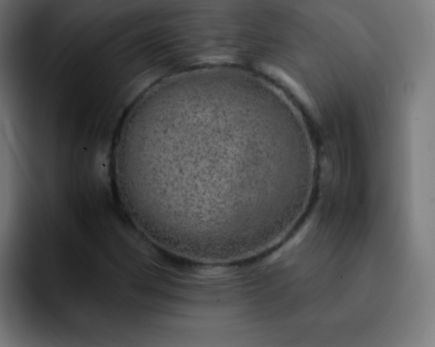 X0000093101162200710031824