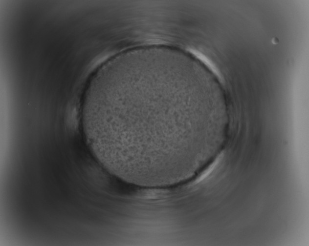 X0000093101163200710031824
