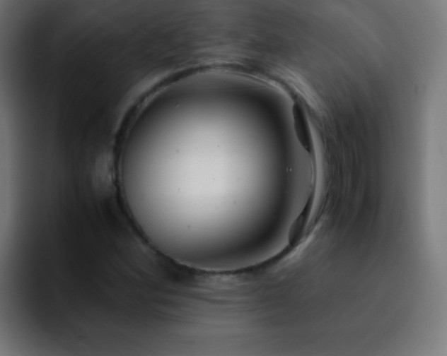 X0000093101164200710031824