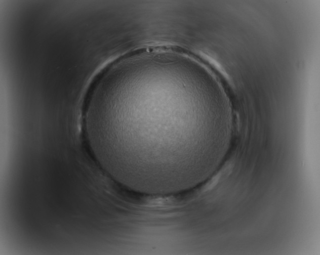 X0000093101165200710031824