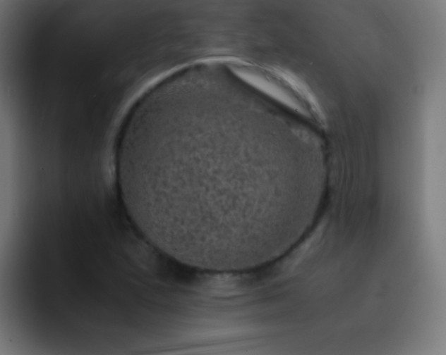 X0000093101167200710031824
