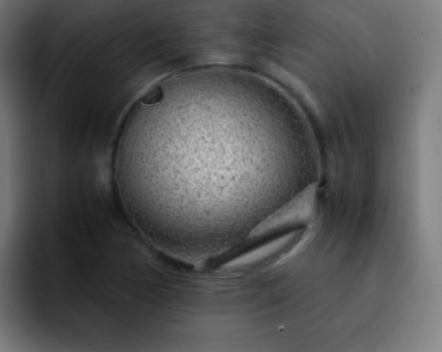 X0000093101170200710031824