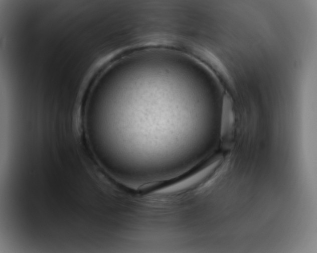 X0000093101172200710031824