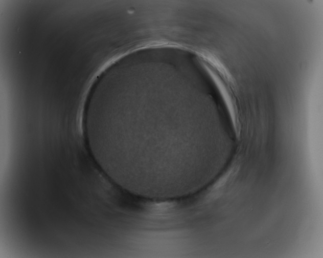 X0000093101173200710031824