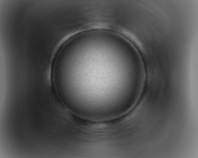 X0000093101174200710031824