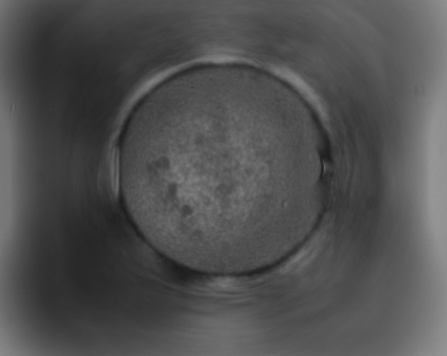 X0000093101175200710031824