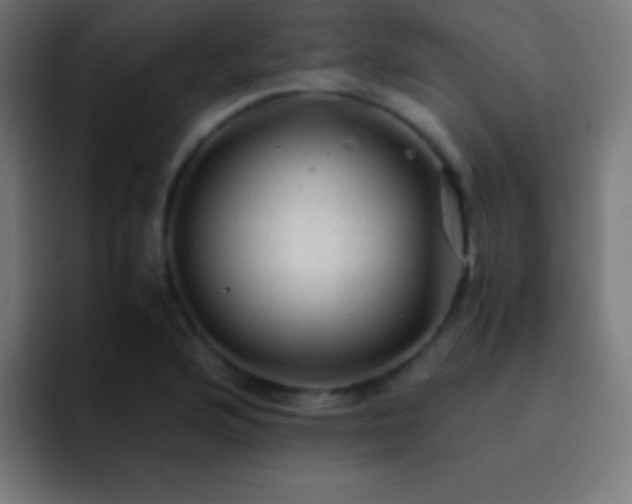 X0000093101176200710031824