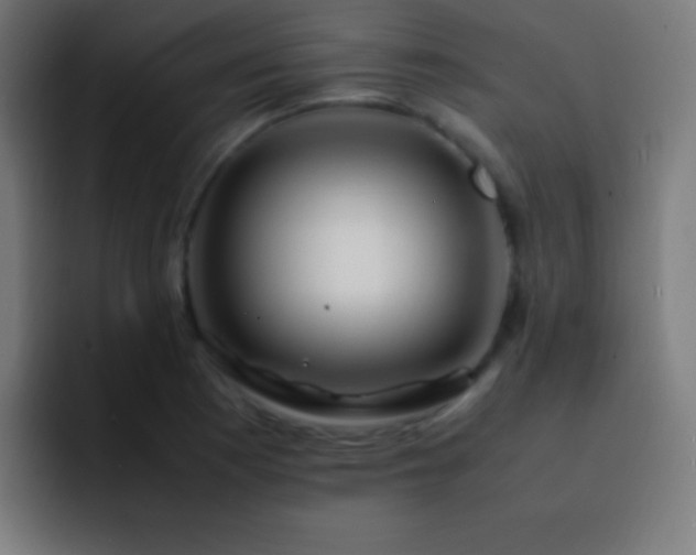 X0000093101177200710031824