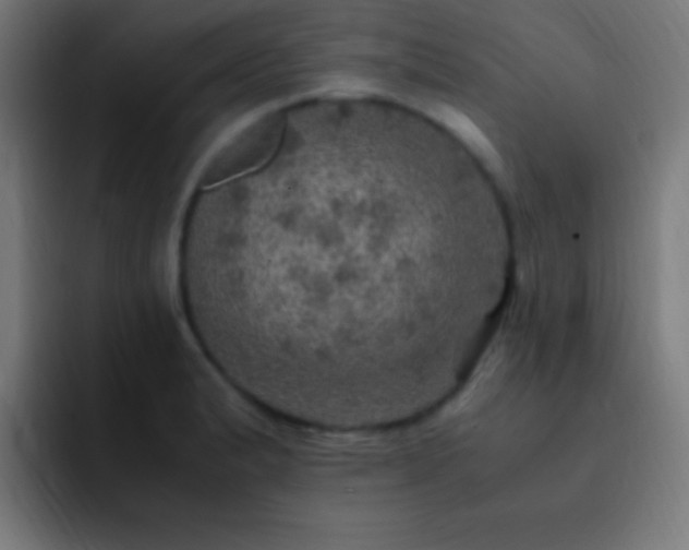X0000093101183200710031824