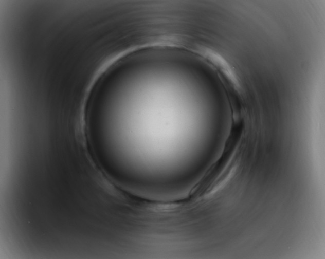 X0000093101184200710031824