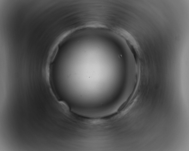 X0000093101188200710031824