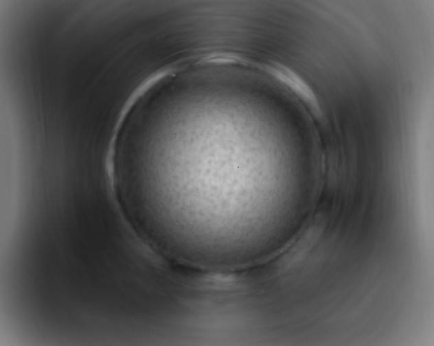 X0000093101190200710031824