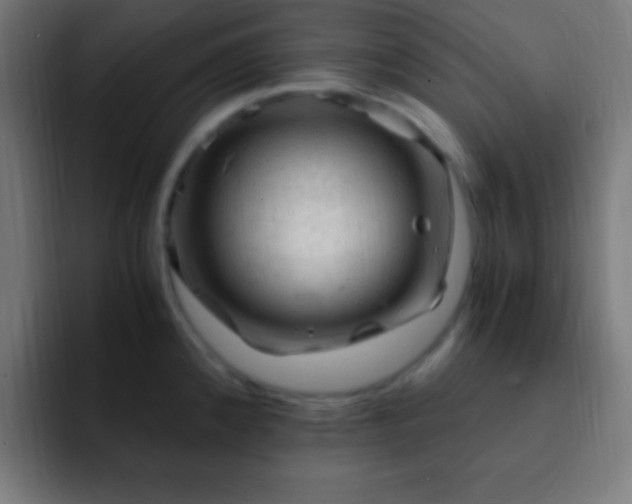 X0000093101192200710031824