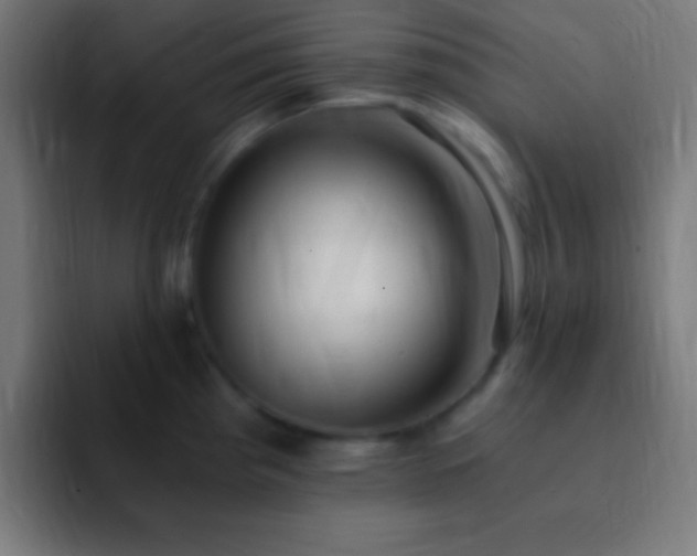 X0000093101193200710031824