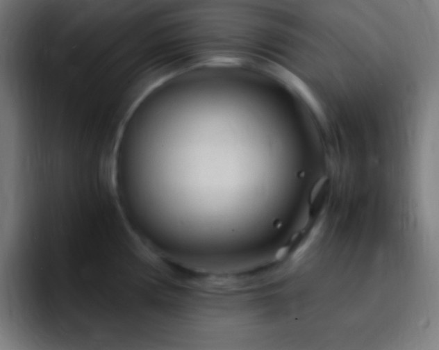 X0000093101194200710031824