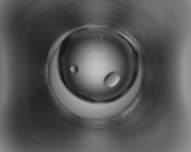 X0000093101196200710031824