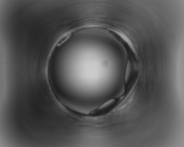 X0000093101197200710031824