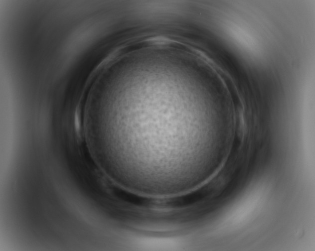X0000093101198200710031824